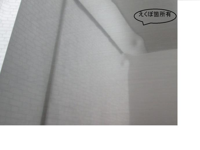 シャープ (SHARP) 冷蔵庫 2019年製｜商品詳細｜広島商品買取・販売 